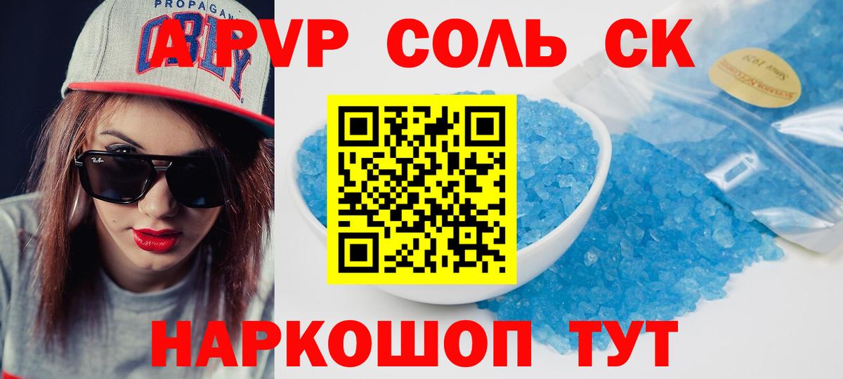 Альфа ПВП СК Североморск