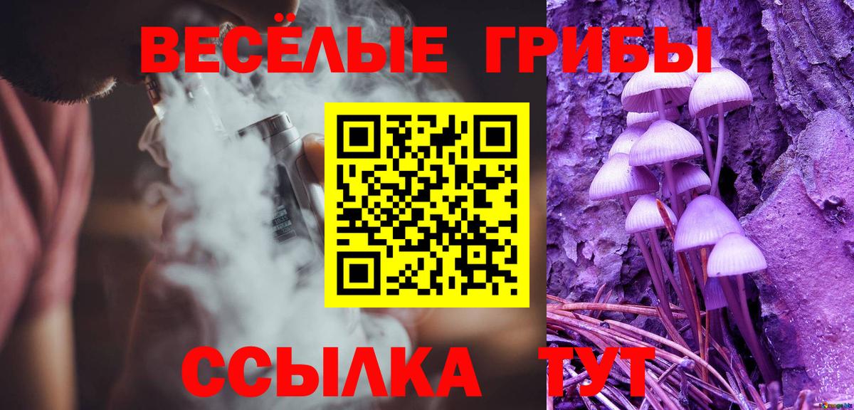 сколько стоит  Псилоцибиновые грибы GOLDEN TEACHER  Вход с VPN  Североморск 