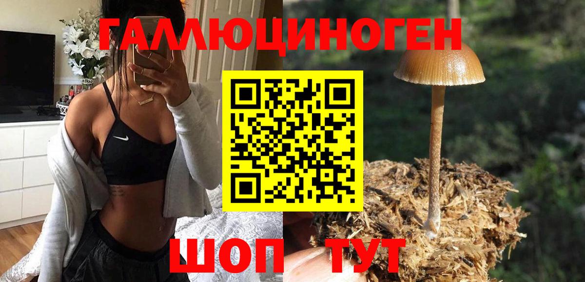 Псилоцибиновые грибы ЛСД Североморск